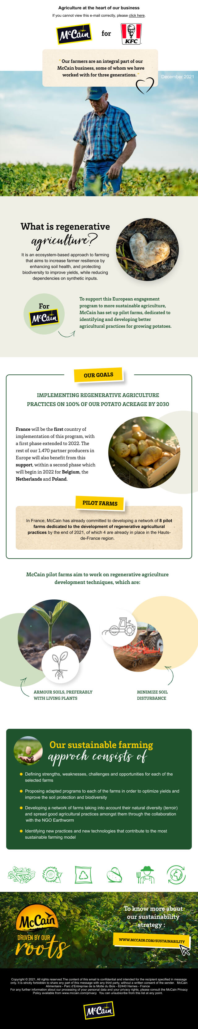 Newsletter Mc Cain